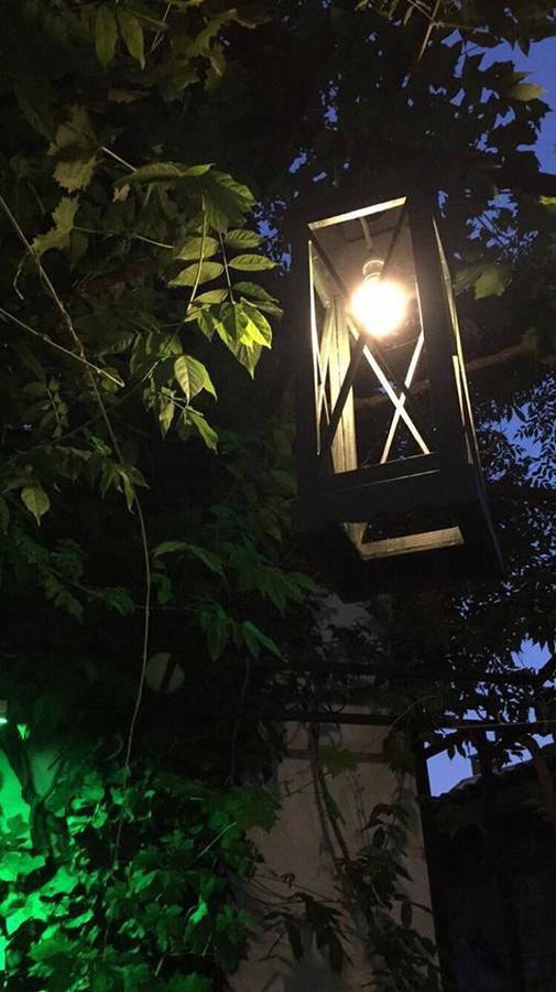 Dalyan Butik Otel Hayat Bahcesi Ayvalı エクステリア 写真
